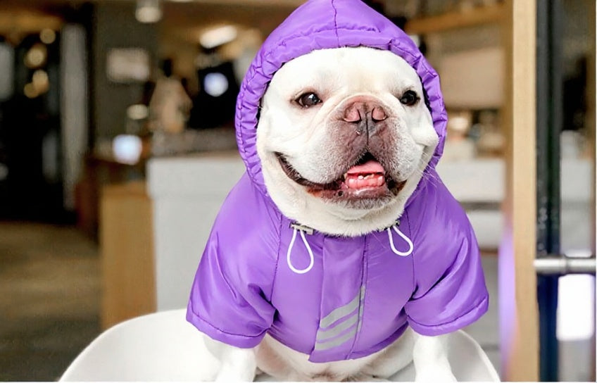 JUST DOG IT – Dog Winter Cotton Clothes