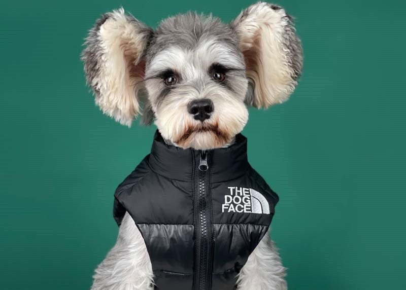 THE DOG FACE - Down Vest
