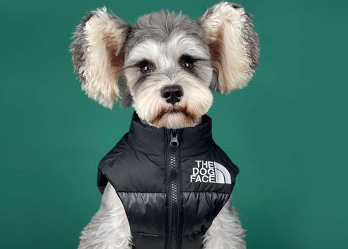 THE DOG FACE - Down Vest